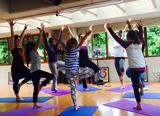 Yoga and Mindfulness Camp